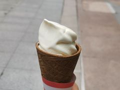-富豪雪糕车流动点(尖沙咀店)