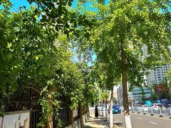 -天津五大道文化旅游区