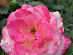 -人民公园(罗湖区)