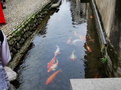-前童古镇