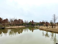 -宁波杭州湾国家湿地公园