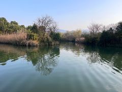 -西溪国家湿地公园