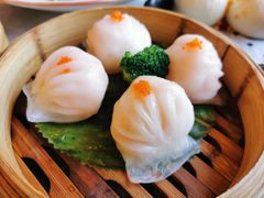 虾饺-纳福苑(亮庆餐饮分店)