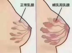 -MOE BEAUTY.皮肤管理中心