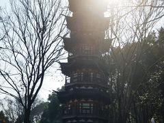 -上海佘山国家森林公园西佘山园