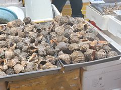 -济南海鲜大市场