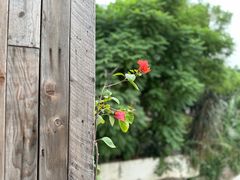 -悦哉·派对·草坪婚礼·围炉煮茶(三圣乡店)