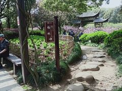 -白马涧龙池景区