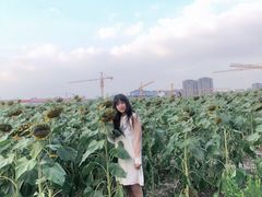 -映月湖中央公园