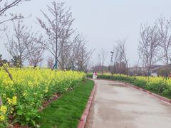 -武汉紫薇都市田园