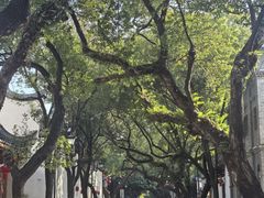 -三坊七巷历史文化街区