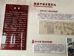 -莲池书院博物馆
