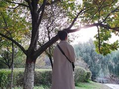 -西安汉城湖景区