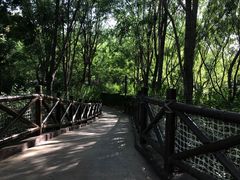 -郑州方特水上乐园