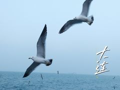 -大连海昌东方水城