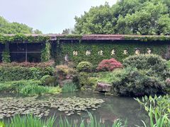 -中国茶叶博物馆(双峰馆区)