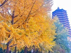 -玲珑塔公园