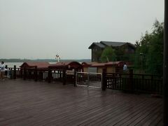 -南湖湿地公园