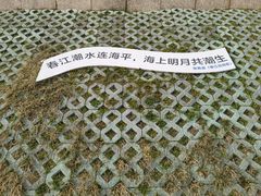 -观潮胜地公园