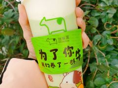 -迷客夏Milksha(合肥步行街首店)