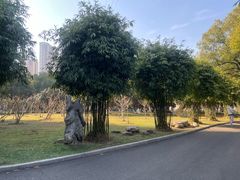 -汉水公园