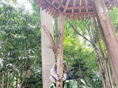 -广州长隆野生动物世界