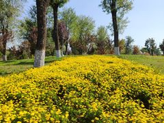 -汉长安城未央宫国家考古遗址公园