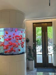 -新蝶变皮肤管理中心