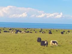 -青海湖国家重点风景名胜区