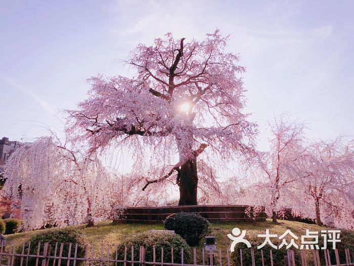 圆山公园图片 - 第1张