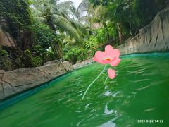 -亚马逊丛林水乐园