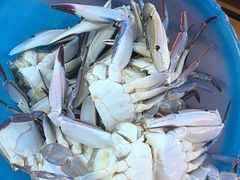 -渔家火锅·海鲜自助餐·演艺(亚龙湾天域酒店)