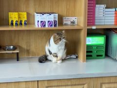 -佑安动物医院·全科·内窥镜中心(幸福巷店)