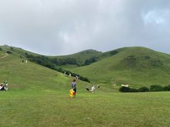 -大姆山草场