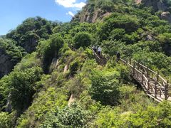 -大岭沟猕猴桃谷风景区