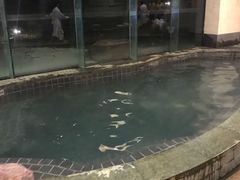 -天目湖涵田半山温泉水乐园