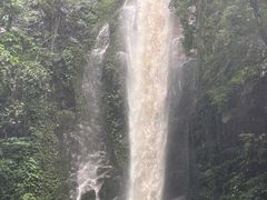 -莫里热带雨林景区