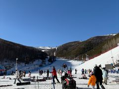 -密苑云顶乐园(云顶滑雪场)