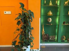 -泰古龙抓龙筋·spa按摩(浦东店)