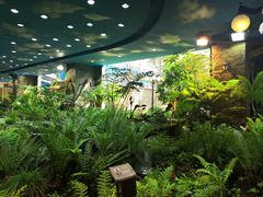 -凯德广场(学府店)