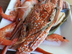 -彩虹云霄拜约克摩天塔