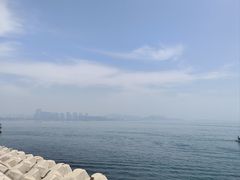 -星光岛