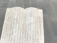 -莲花池公园