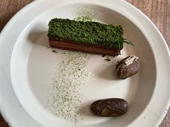 苔藓-知亘茶食
