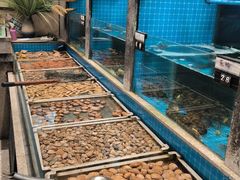 -码头鲜精致威海菜(欧乐坊店)