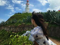 -漳州滨海火山岛自然生态风景区