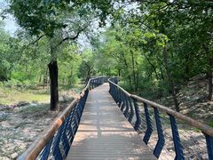 -白水寺森林公园