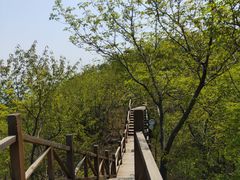 -大岭沟猕猴桃谷风景区