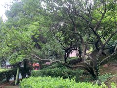 -长屿硐天八仙岩景区