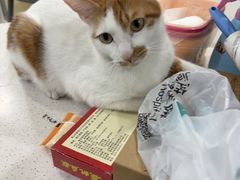 -佳雯宠物医院·皮肤科·内外科(春晓路分院)